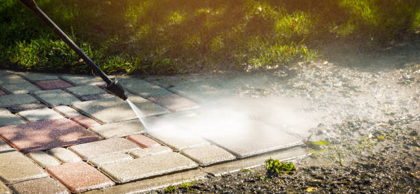 Best Animal Enclosure Cleaning  in Medulla, FL